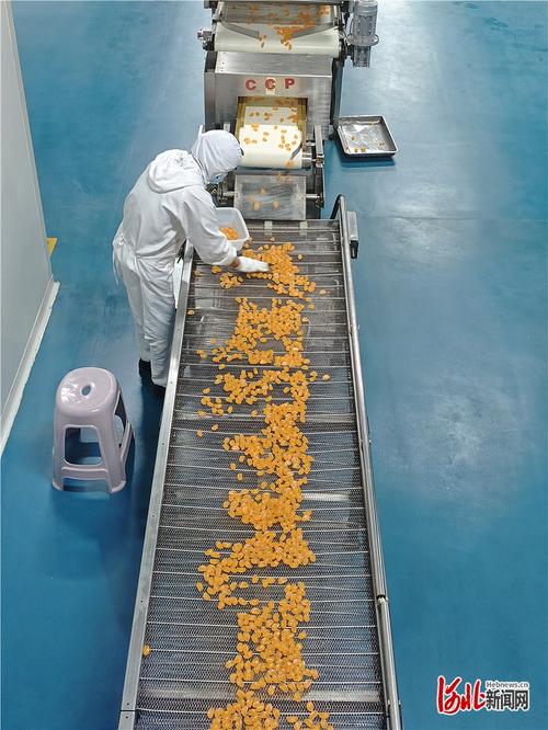 7月22日,位于邱縣的河北康貝爾食品生產(chǎn)車間內(nèi),一名工人正在